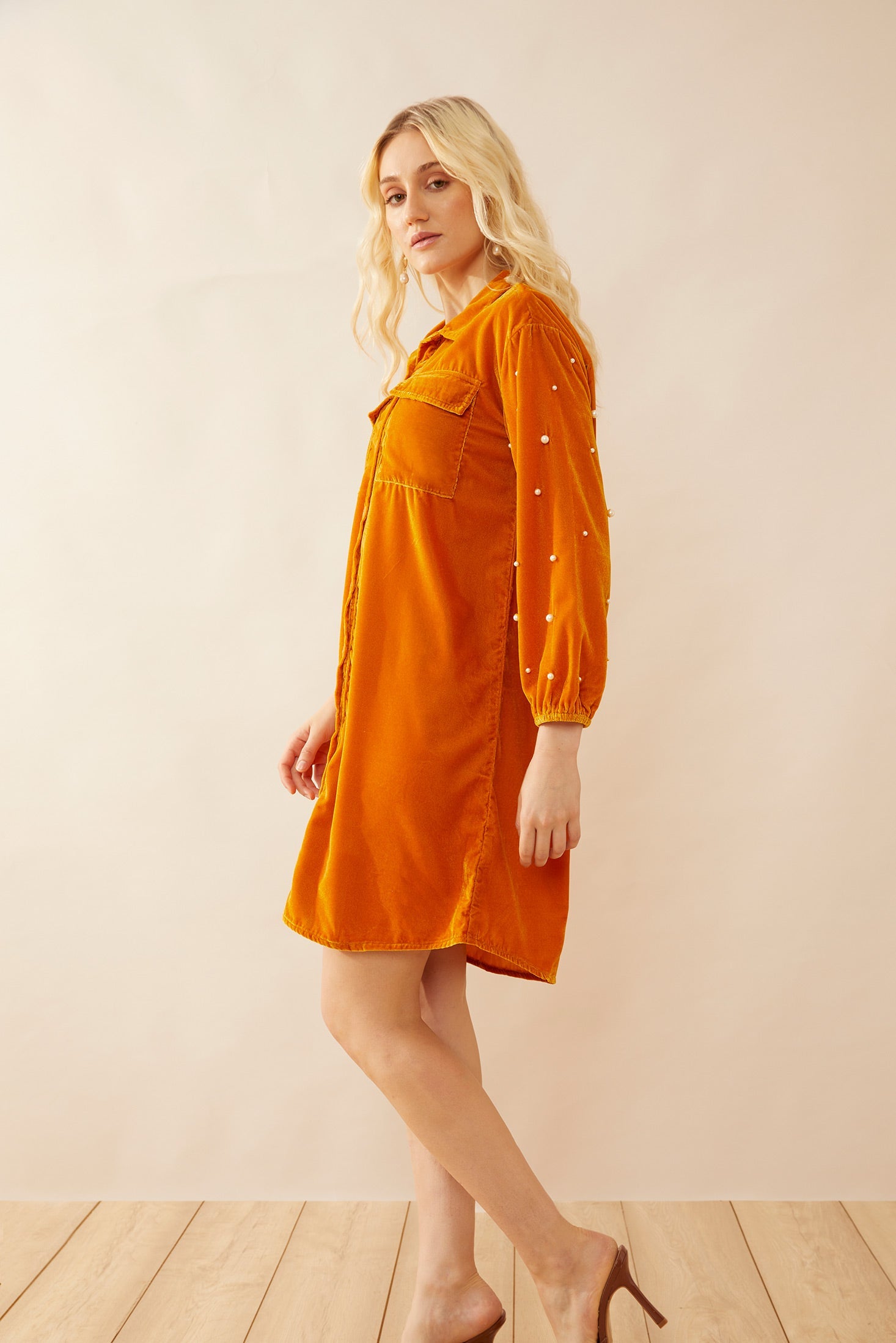 Oakrey Velvet Shirt Dress