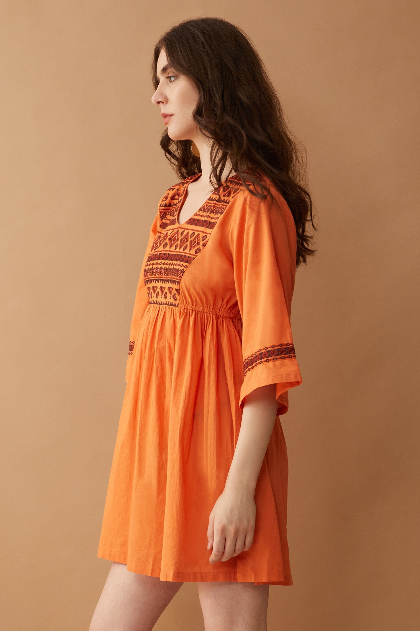 Sun Field Embroidered Dress